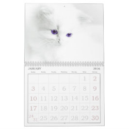 Cute Cats Calendar Kalender