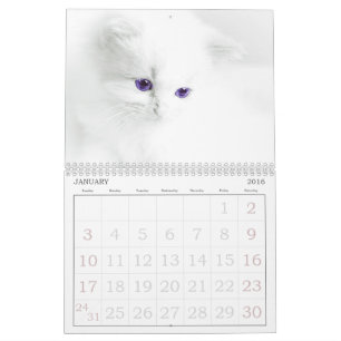 Cute Cats Calendar Kalender