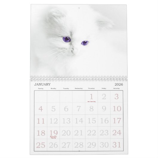 Cute Cats Calendar Kalender (Jan 2026)