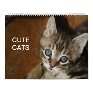 Cute Cats Calendar Kalender