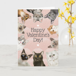 Cute Cats Kat Lover Happy Valentijnsdag Kaart