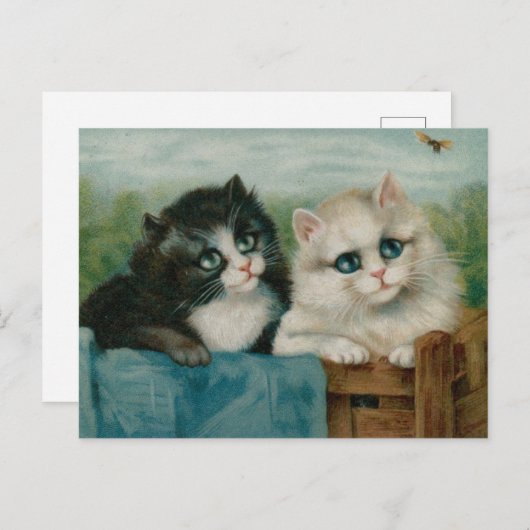 Cute Cats op het hek Briefkaart (Voorkant / Achterkant)