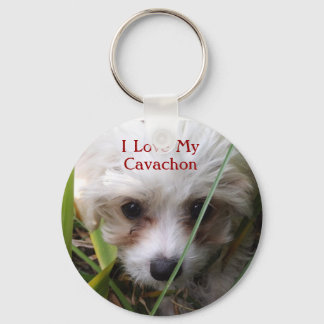 Cute Cavachon Puppy Sleutelhanger