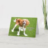 Cute Cavalier King Charles Sens Meilleure carte (Devant)