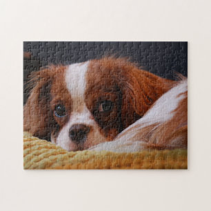 Cute Cavalier King Charles Spaniel Legpuzzel