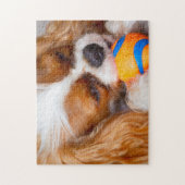 Cute Cavalier met kogelpuzzle Legpuzzel (Verticaal)