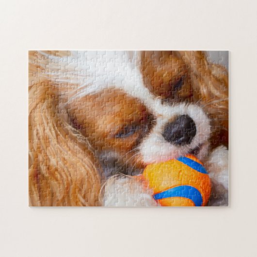 Cute Cavalier With Ball Jigsaw Puzzle  (Horizontal)