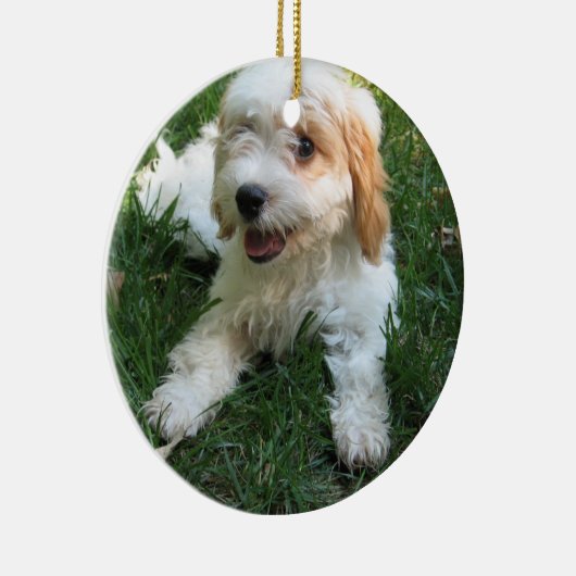 CUTE CAVAPOO PUPPY KERAMISCH ORNAMENT (Rechts)