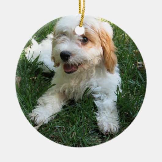 CUTE CAVAPOO PUPPY KERAMISCH ORNAMENT (Voorkant)