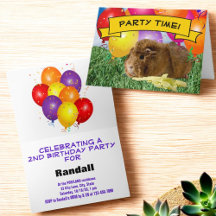 Cute Cavia Kinderverjaardagsfeest Ballonnen