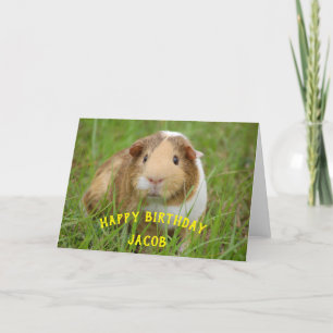 Cute Cavia Met Eigen Naam Verjaardagscadeau Dier Feestdagen Kaart