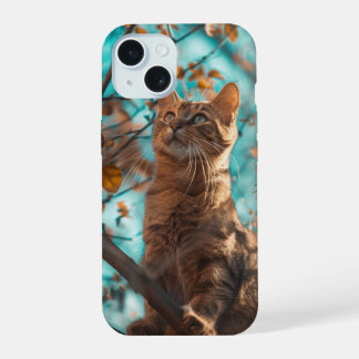 Cute chat