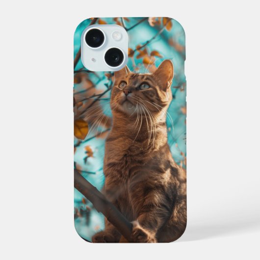 Cute chat (Verso)