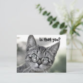 Cute Chat surpris avec lunettes Carte postale (Debout devant)