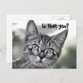 Cute Chat surpris avec lunettes Carte postale (Devant / Derrière)