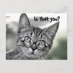 Cute Chat surpris avec lunettes Carte postale