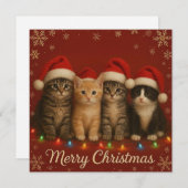 Cute chatons carte de Noël. (Devant / Derrière)