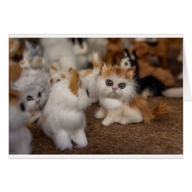 Cute Chatons Plushy (Devant horizontal)