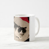 Cute chatte tasse (Devant droit)