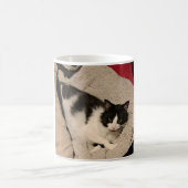 Cute chatte tasse (Centre)