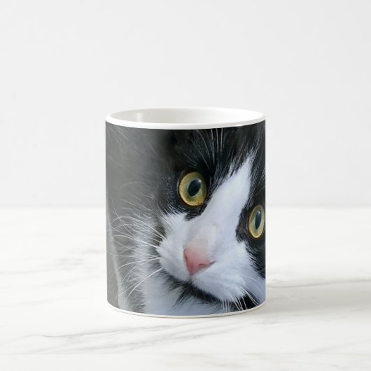 Cute chatte tasse (Centre)