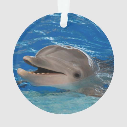Cute Chattering Dolphin Ornament (achterkant)