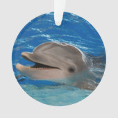 Cute Chattering Dolphin Ornament (voorkant)