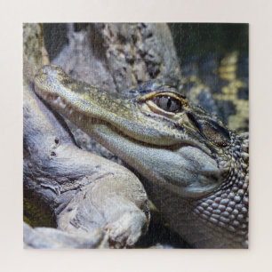 Cute Cheeky Baby Crocodile Smiling Legpuzzel