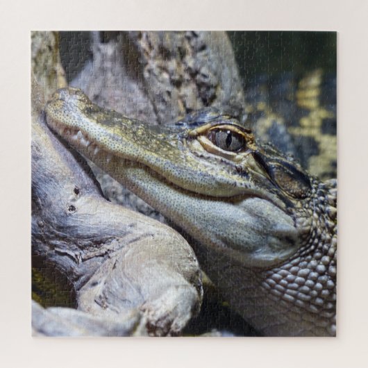 Cute Cheeky Baby Crocodile Smiling Legpuzzel (Verticaal)