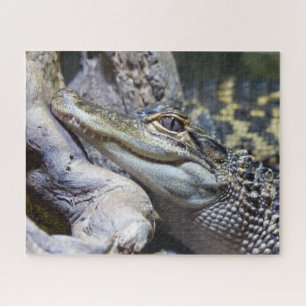 Cute Cheeky Baby Crocodile Smiling Legpuzzel