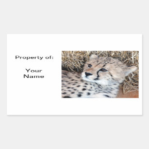 Cute Cheetah Cub Foto Name Label /