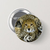Cute Cheetah Ronde Button 5,7 Cm (Voorkant /achterkant)