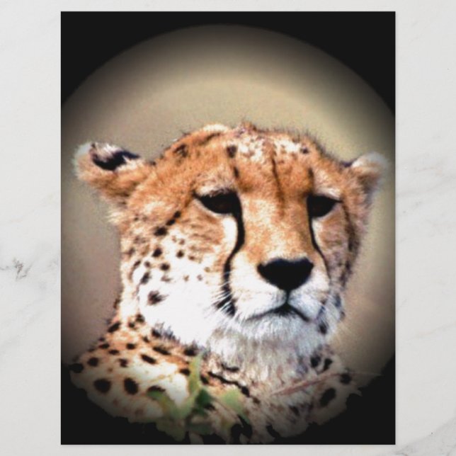 Cute Cheetah Tear Marks Hakunamatata (Voorkant)