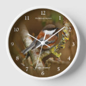 Cute Chestnut Backed Chickadee Songbird in Tree (Voorkant)