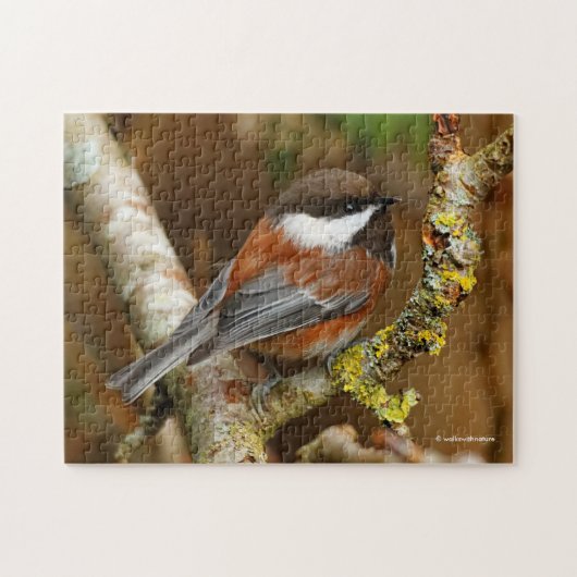 Cute Chestnut Backed Chickadee Songbird Legpuzzel (Horizontaal)