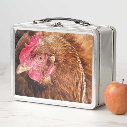 CUTE CHICKEN (In situ)