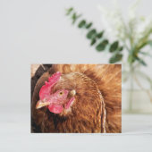 CUTE CHICKEN BRIEFKAART (Staand voorkant)