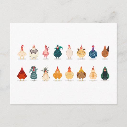 Cute Chicken Briefkaart (Voorkant)