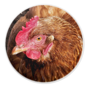 CUTE CHICKEN KERAMISCHE KNOP