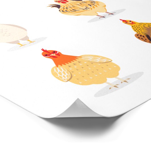 Cute Chicken Poster (Hoek)