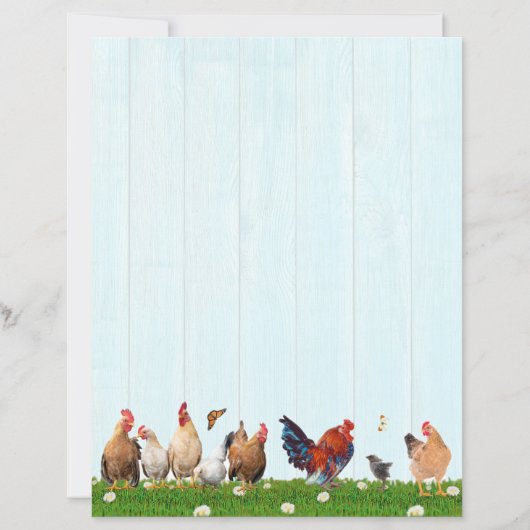 Cute Chicken Stationery - Added Cat on Back (Voorkant)