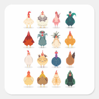 Cute Chicken Vierkante Sticker