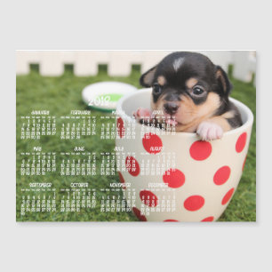 Cute Chihuahua Calendar 2018 Magnetic Kaart 5x7
