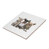 Cute Chihuahua Dogs Tegeltje (Zijkant)