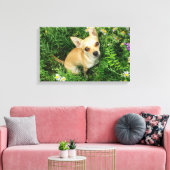 Cute Chihuahua in Grass Meadow Canvas Afdruk (Insitu (Woonkamer))
