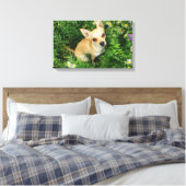 Cute Chihuahua in Grass Meadow Canvas Afdruk (Insitu (Slaapkamer))