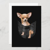 Cute Chihuahua in uw zakkerst Aankondiging (Voorkant / Achterkant)