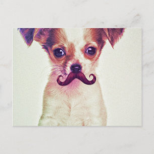 Cute Chihuahua met Paarse Funny Mustache Briefkaart