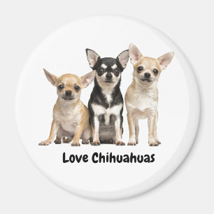 Cute Chihuahua Puppies Magneet