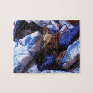 Cute Chihuahua Puzzle Legpuzzel